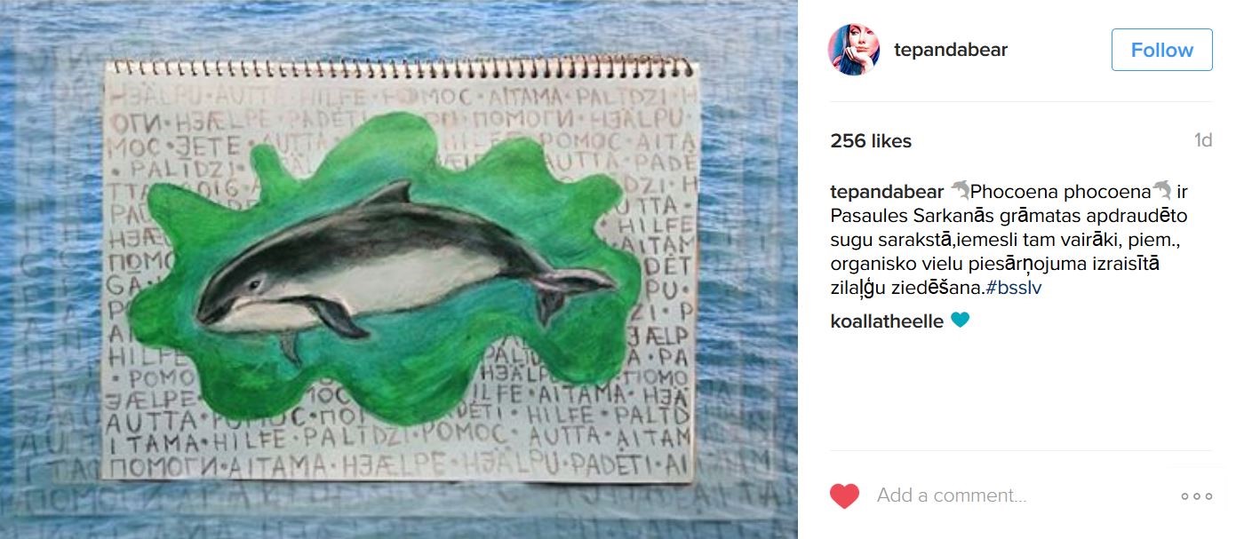 Cēsu māksas skolas audzēknes Jetes Jakovičas mākslas darbs ar vēstījumu par aizsargājamo cūkdelfīnu (Phocoena phocoena L.)